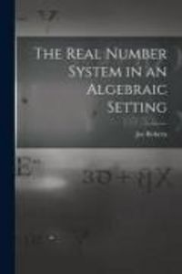 Produktbild: The Real Number System in an Algebraic Setting