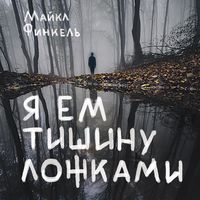 Produktbild: The Stranger in the Woods