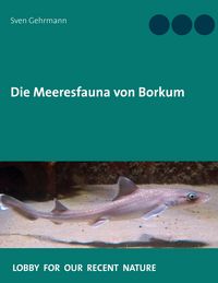 Produktbild: Die Meeresfauna von Borkum