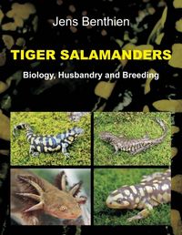 Produktbild: Tiger Salamanders