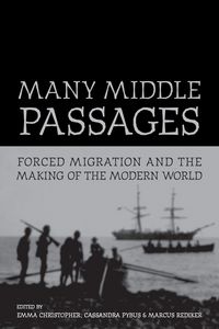 Produktbild: Many Middle Passages