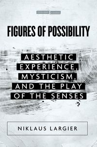 Produktbild: Figures of Possibility