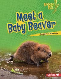 Produktbild: Meet a Baby Beaver