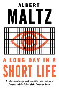 Produktbild: A Long Day in a Short Life