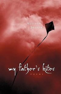 Produktbild: My Father's Kites