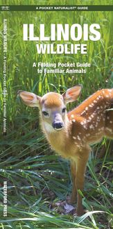 Produktbild: Illinois Wildlife