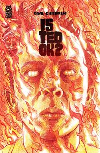 Produktbild: Is Ted Ok?