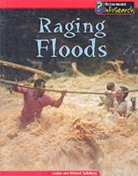 Produktbild: Raging Floods