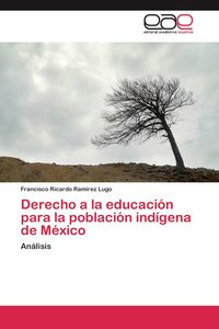 Produktbild: Derecho a la educaci&oacute;n para la poblaci&oacute;n ind&iacute;gena de M&eacute;xico
