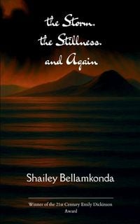 Produktbild: The Storm. The Stillness. And Again