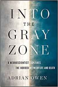 Produktbild: Into The Gray Zone