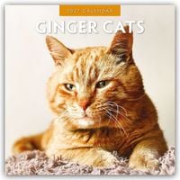 Produktbild: Ginger Cats &ndash; Rote Katzen &ndash; Gingerkatzen 2027 &ndash; 16-Monatskalender
