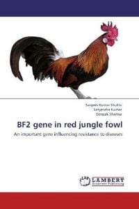 Produktbild: Shukla, S: BF2 gene in red jungle fowl