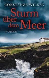 Produktbild: Wilken, C: Sturm &uuml;ber dem Meer