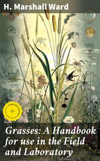 Produktbild: Grasses: A Handbook for use in the Field and Laboratory
