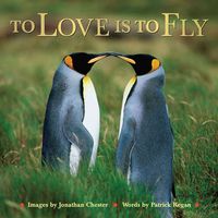 Produktbild: To Love Is To Fly
