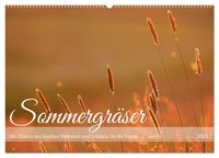 Produktbild: Sommergr&auml;ser (Wandkalender 2026 DIN A2 quer), CALVENDO Monatskalender