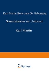 Produktbild: Sozialstruktur im Umbruch