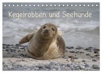 Produktbild: Kegelrobben und Seehunde (Tischkalender 2027 DIN A5 quer), CALVENDO Monatskalender