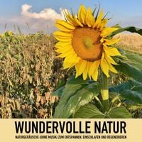 Produktbild: Wundervolle Natur: Naturger&auml;usche (ohne Musik) zum Entspannen, Regenerieren und Einschlafen