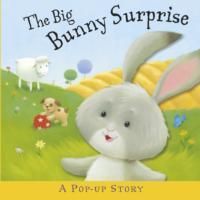 Produktbild: Miller, L: The Big Bunny Surprise