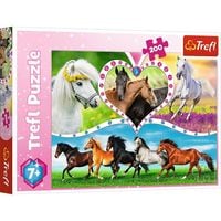 Produktbild: Puzzle 200 Sch&ouml;ne Pferde