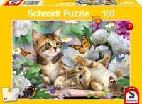 Produktbild: Verspielte Katzenbabys