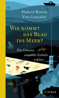 Produktbild: Wie kommt das Blau ins Meer?