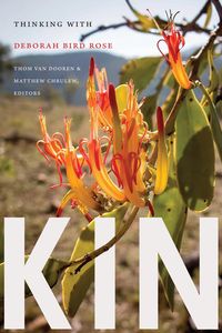 Produktbild: Kin