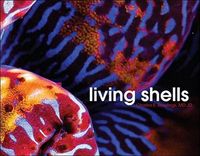Produktbild: Living Shells