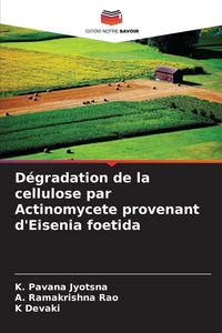 Produktbild: D&eacute;gradation de la cellulose par Actinomycete provenant d'Eisenia foetida
