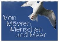 Produktbild: Von M&ouml;wen, Menschen und Meer (Wandkalender 2026 DIN A2 quer), CALVENDO Monatskalender