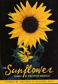 Produktbild: Sunflower Family in The Upper