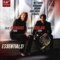 Bild vom Artikel Essentials! vom Autor Herve Joulain