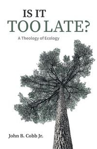 Produktbild: Is It Too Late?