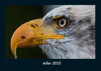 Produktbild: Adler 2025 Fotokalender DIN A4