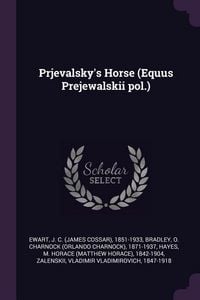 Produktbild: Prjevalsky's Horse (Equus Prejewalskii pol.)