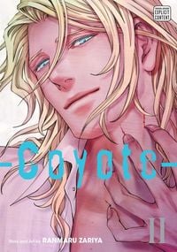 Produktbild: Coyote, Vol. 2
