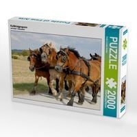 Produktbild: Kaltblutgespann (Puzzle)