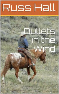 Produktbild: Bullets in the Wind