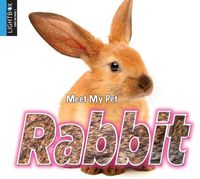 Produktbild: Rabbit