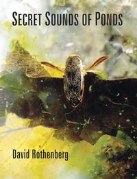 Produktbild: Secret Sounds of Ponds