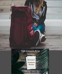 Produktbild: Our Cousins Trip Shorts Journal 1 Pandemic Dreams (Our Cousin Trip Shorts)
