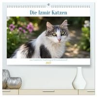 Produktbild: Die Izmir Katzen (hochwertiger Premium Wandkalender 2027 DIN A2 quer), Kunstdruck in Hochglanz