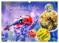 Produktbild: Konzert der Natur - Insekten spielen Musikinstrumente (Wandkalender 2026 DIN A3 quer), CALVENDO Monatskalender