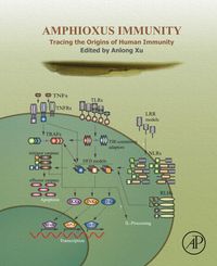 Produktbild: Amphioxus Immunity