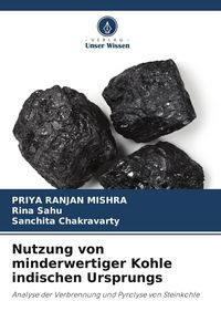 Produktbild: Nutzung von minderwertiger Kohle indischen Ursprungs