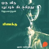 Produktbild: Pinakku