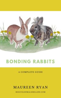 Produktbild: Bonding Rabbits: A Complete Guide