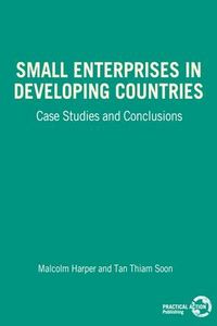 Produktbild: Small Enterprises in Developing Countries